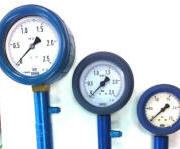 Wika Tyre Gauges